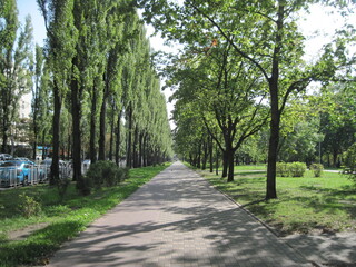 path in the park