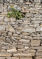 image of stone wall in rural environment