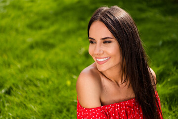 Photo of dreamy charming young lady wear red off-shoulders dress smiling sitting green grass outside countryside