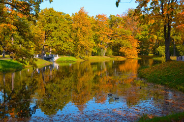 Golden autumn in in Catherine park, Tsarskoye Selo (Pushkin), neighborhood of Saint-Petersburg, 