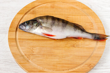 Freshly caught perch fish lies on a cutting wooden board. 