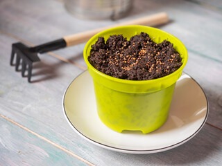 The process of preparing for planting microgreens at home, a pot of soil and a garden rake