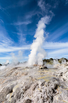 Pohutu Geyser erupting,  Te Puia, Rotorua, New Zealand