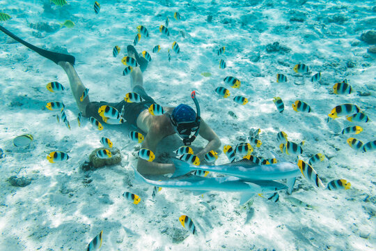 Man underwater with fishes in the lagoon of Bora Bora, French Polynesia