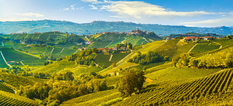 Langhe vineyards landscape and Castiglione Falletto, Piedmont, Italy Europe.