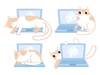 Vector set of cut cats sitting on laptop on white.