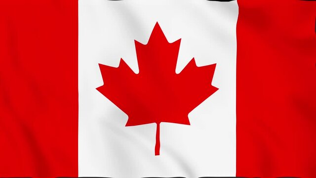 A beautiful view of Canadian flag video. 3d flag waving video. The National Flag of Canada HD resolution. Canadian flag Closeup Full HD video.