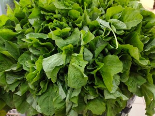 Fresh Fruits and Vegetables in a supermarket