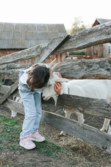 Little girl and goats on the farm.
