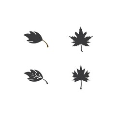 leaf icon