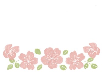 桜のカード
