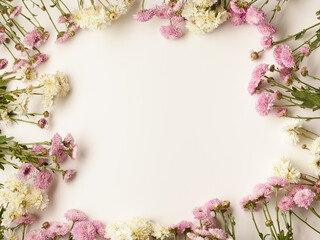 Fototapeta na wymiar Beautiful small chrysanthemum flowers over white background