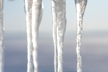 Naklejka na ściany i meble Hanging icicles on a cold winter day