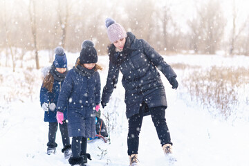family plays and sleigh rides in winter outdoor, mother and children having fun on snowy winter