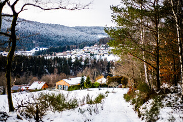 vue sur les montagnes