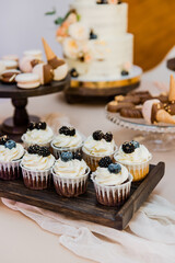 Festive blackberry and blueberry cupcakes. Copy space. Set of various delicious muffins on a tray.