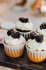 Festive blackberry and blueberry cupcakes. Copy space. Set of various delicious muffins on a tray.