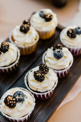 Festive blackberry and blueberry cupcakes. Copy space. Set of various delicious muffins on a tray.