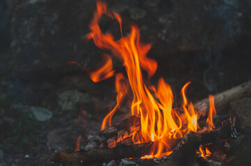 Small flame dying fire, bright red-orange flame. Cozy warm atmosphere by outdoors campfire recreation, burning wood.