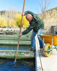 Male fish farm worker fishing with net sturgeon at reservoir