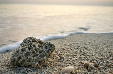 Background image of beautiful sunrise in French beach, Qatar with sea shells.