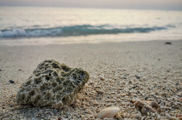 Background image of beautiful sunrise in French beach, Qatar with sea shells.