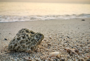 Background image of beautiful sunrise in French beach, Qatar with sea shells.