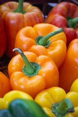 Background: Colorful green , red and yellow capsicum or peppers paprika