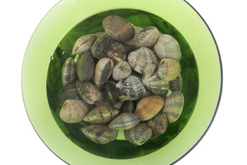 raw clams as sea food ingredient