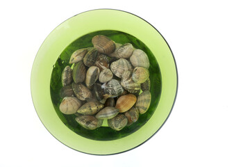 raw clams as sea food ingredient