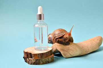 cosmetic serum with extract of snail slime and a snails on a wood. snail mucus extract.