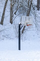 Fototapeta premium Recreation concept. Basketball board covered with snow standing in courts during winter time. Pine and birch tree forest background in winter