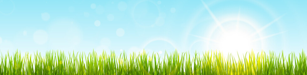 Obraz premium spring grass and sunlight panorama background