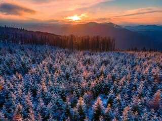 Top view of a forrest in Sauerland Germany in winter at sunset - obrazy, fototapety, plakaty