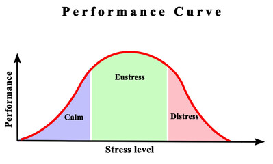 Dependence of performance on Level of Stress