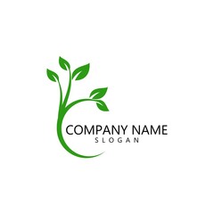 Green leaf logo