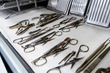 Manicure tools after sterilization