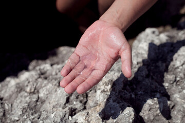 Small transparent jellyfish on hand