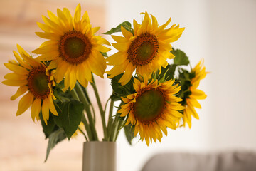 Vase with beautiful yellow sunflowers in room, closeup