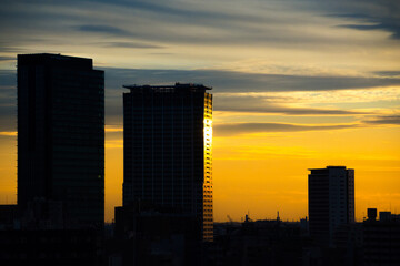 Fototapeta na wymiar Sunset on Tôkyô, Japan