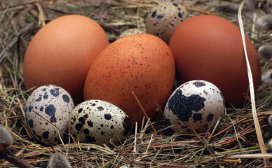 Easter eggs with Easter basket on wooden background. Easter Nature concept.
