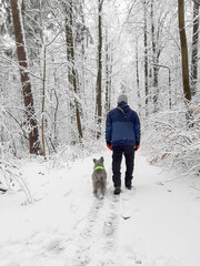 man walks with a dog in the woods in winter