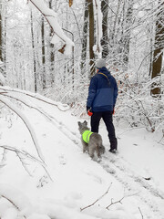 man walks with a dog in the woods in winter