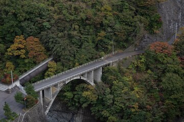 Fototapeta na wymiar 山中の橋