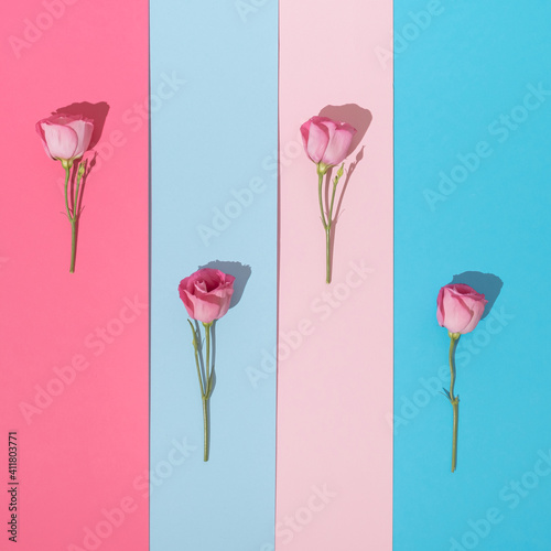 Creative Women's Day or Mother's Day flat lay with pink roses on pastel background. Minimal spring concept.