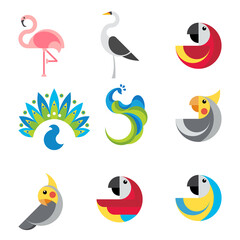 Collection of tropical birds, flat vector illustration.