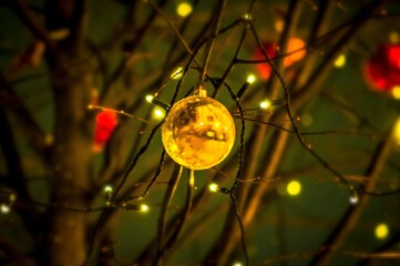 Christmas ball on a branch