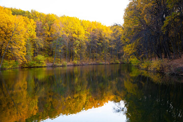 Lake and forest views. Autumn colors