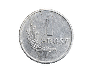 one Polish grosz coin on a white isolated background