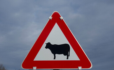 Attention cows crossing traffic sign